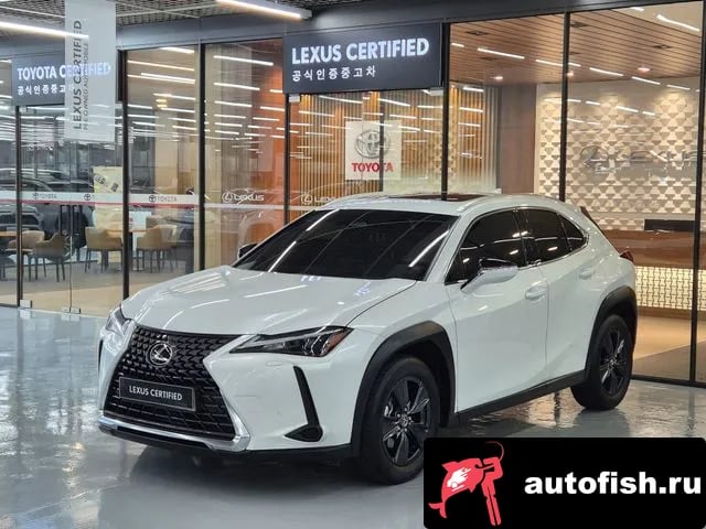 Lexus UX UX300h 2025 года - похожие автомобили