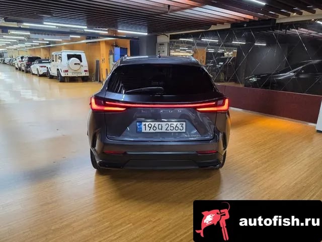 Lexus NX NX350h Second generation 2024 года - вид 4