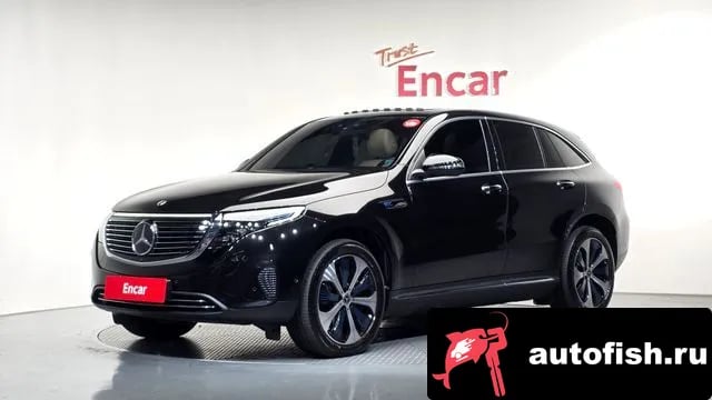 Mercedes-Benz EQC EQC N293 2020 года - вид 1