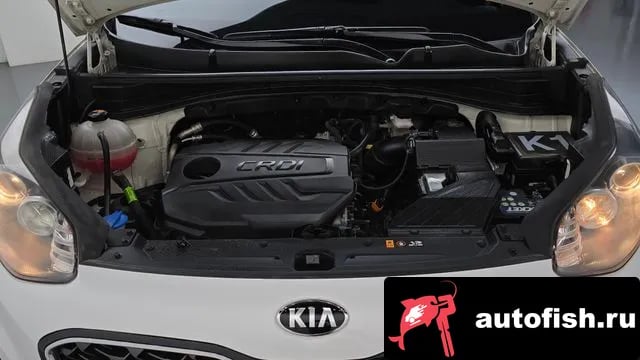Kia Sportage Sportage The Bold 2021 года - вид 6