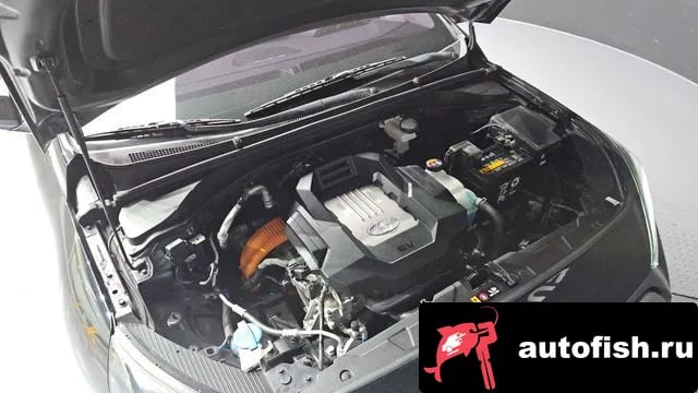 Hyundai Ioniq The New Ionic Electric 2019 года - вид 6