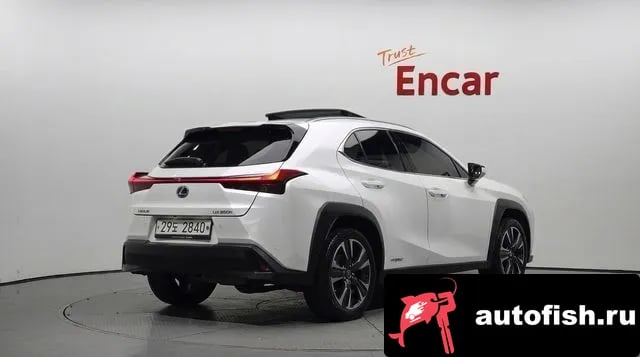 Lexus UX UX250h 2019 года - вид 1