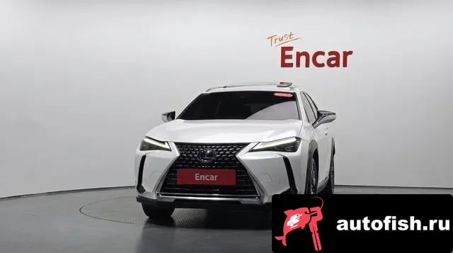 Lexus UX UX250h 2019 года - вид 2