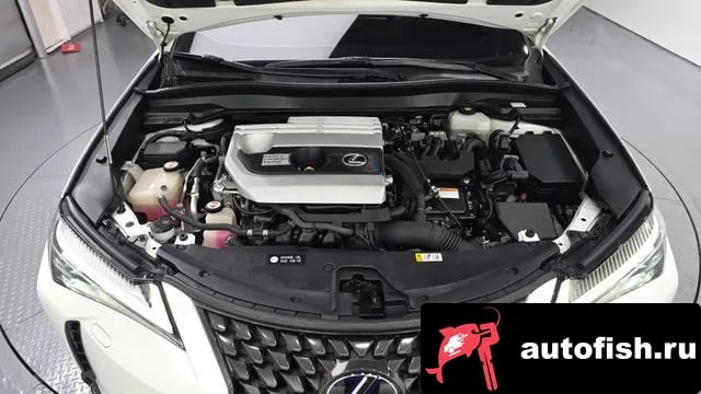 Lexus UX UX250h 2019 года - вид 5