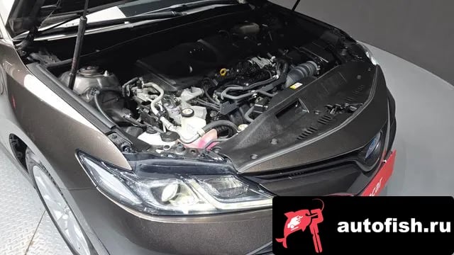 Toyota Camry Camry (XV70) 2019 года - вид 6