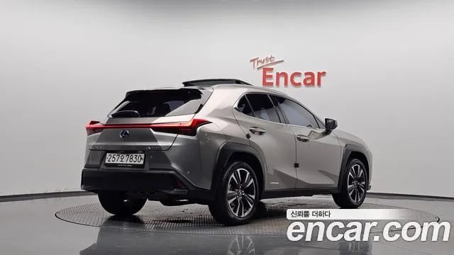Lexus UX UX250h 2019 года - вид 1