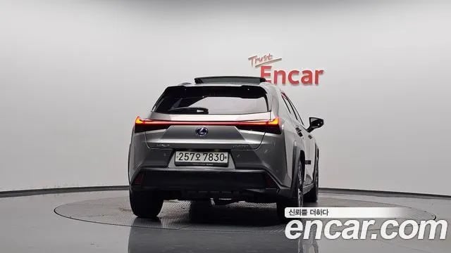 Lexus UX UX250h 2019 года - вид 3