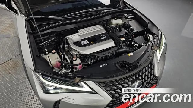 Lexus UX UX250h 2019 года - вид 5