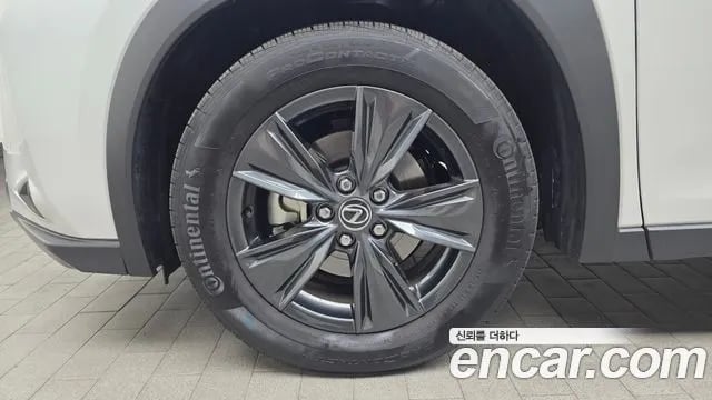 Lexus UX UX300h 2025 года - вид 4