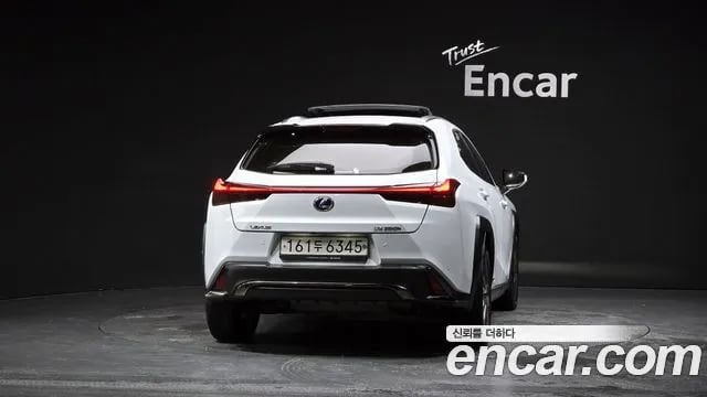 Lexus UX UX250h 2020 года - вид 4
