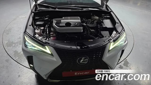 Lexus UX UX250h 2020 года - вид 6