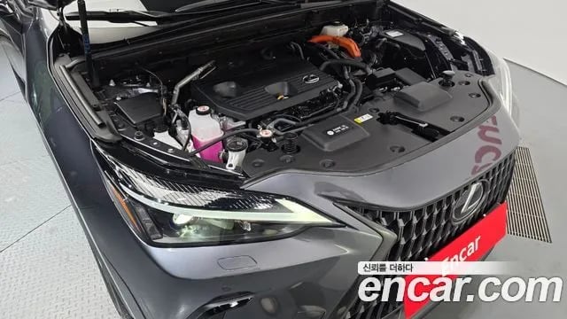 Lexus NX NX350h Second generation 2024 года - вид 6