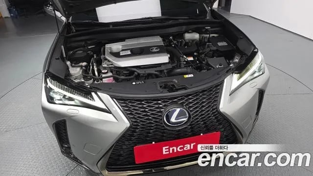 Lexus UX UX250h 2021 года - вид 6