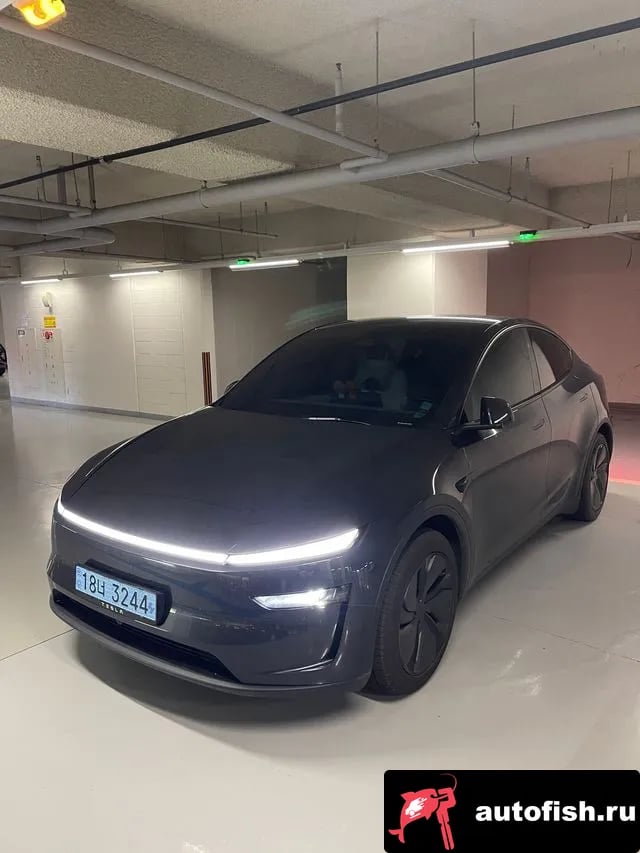 Tesla Model Y Model Y 2025 года - похожие автомобили