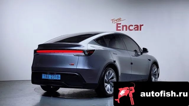Tesla Model Y Model Y 2025 года - похожие автомобили