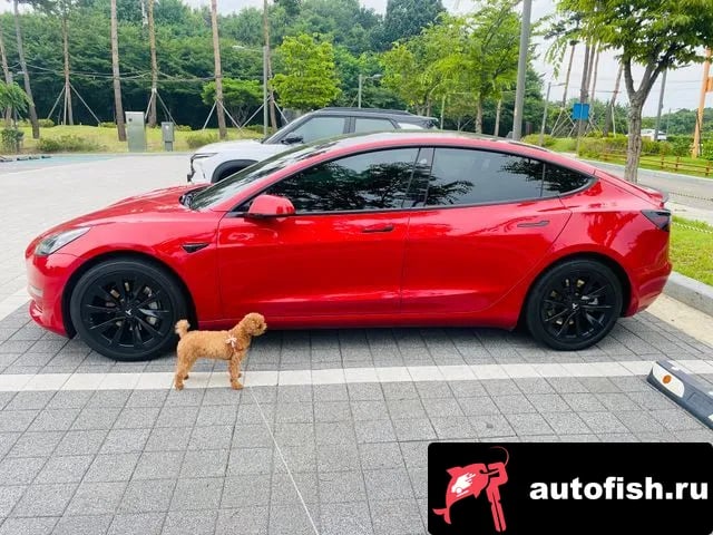 Tesla Model 3 Model 3 2022 года - похожие автомобили