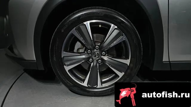 Lexus UX UX250h 2019 года - похожие автомобили