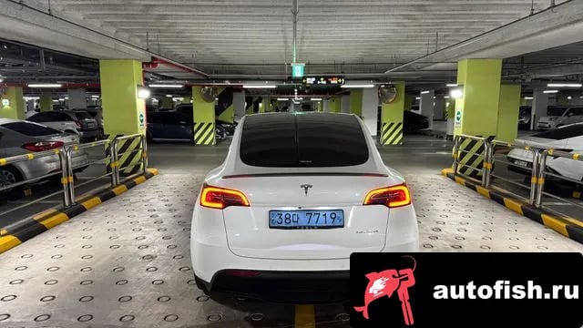 Tesla Model Y Model Y 2022 года - похожие автомобили