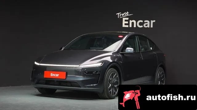 Tesla Model Y Model Y 2026 года - похожие автомобили