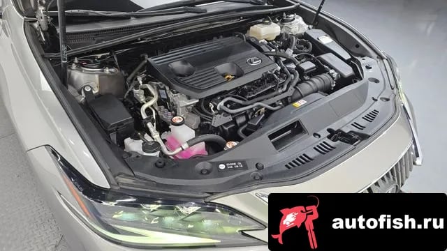Lexus ES ES300h 7th generation 2024 года - похожие автомобили