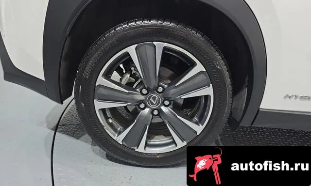 Lexus UX UX250h 2019 года - похожие автомобили